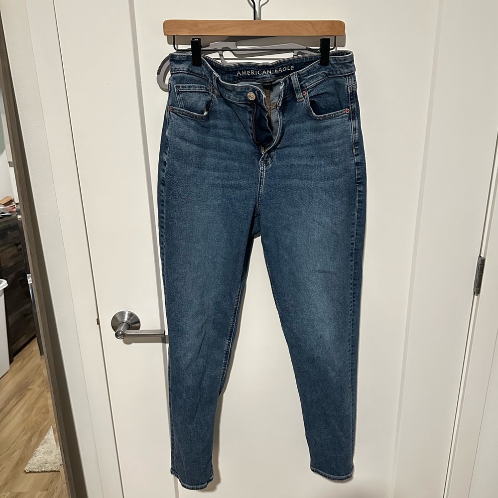 CLEANOUT SALE MAKE ME AN OFFER American Eagle Mom Jean- 10 Long